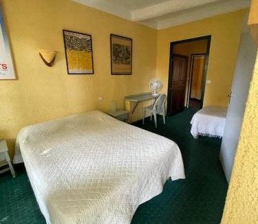 Ceret Hotel | Hotel Vidal