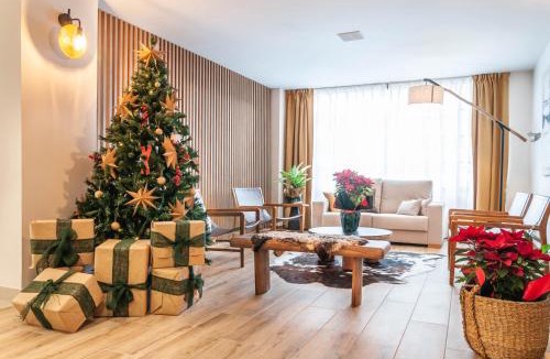Vielha Hotel | Hotel Viella