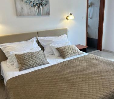 Arbanija Hotel | Hotel Vila Tina