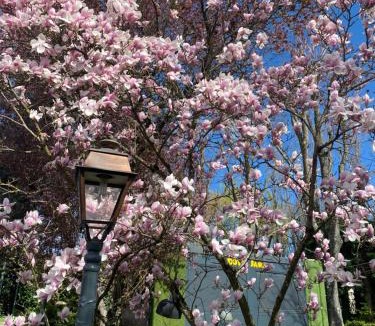 Tournus Hotel | Hotel Village Motel