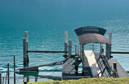 Brienz Hotel | Hotel Wildbach Brienz