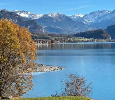 Brienz Hotel | Hotel Wildbach Brienz