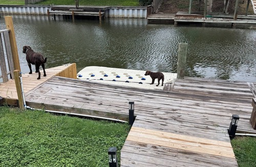 Flour Bluff House | Hotrod & TT's Great Adventures, nDog Friendly Canal Waterfront on Laguna Madre