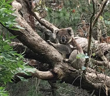 Houghton Bed & Breakfast | Houghton Stone Villa