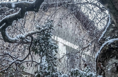 Antony House | House 2mins from Parc de Sceaux