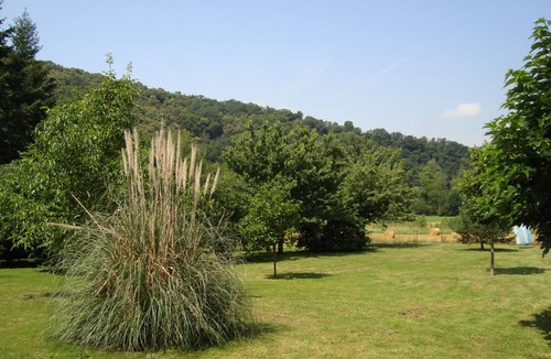 Trebas House | House 4/5 people near Albi - Trebas Tarn Valley