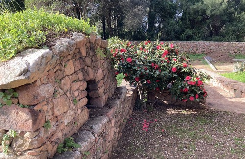 Cuttoli-Corticchiato House | House 4/6 people with swimming pool