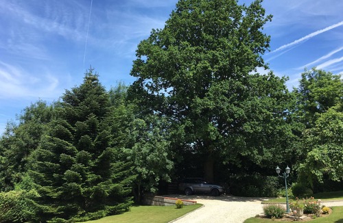 Fourneville Villa | House and Apartment Rêve Normand