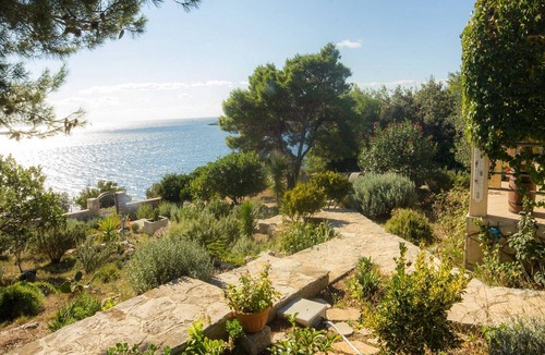 Donje Selo House | House Ani (107161-K1) - Maslinica