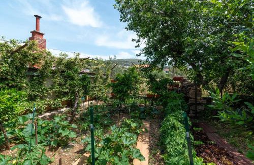Seget Vranjica Apartment | House Antonija, relax by the sea