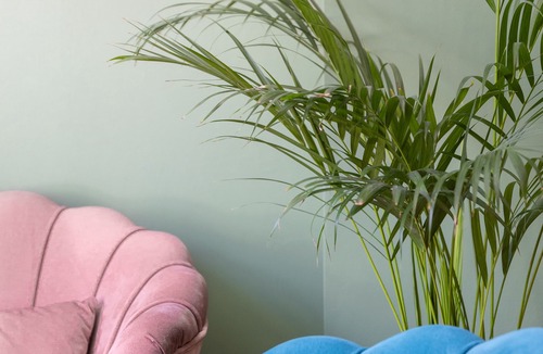 Arundel Hotel | House Arundel