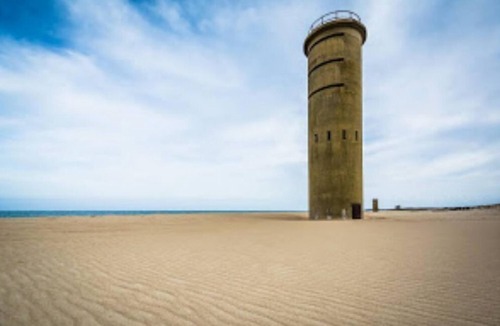 Bear House | House casino