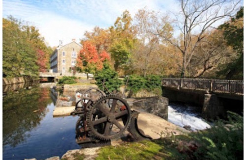 Bear House | House casino