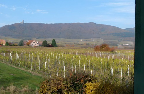 Scherwiller House | House for 2–4 Guests on the Wine Route in Central Alsace