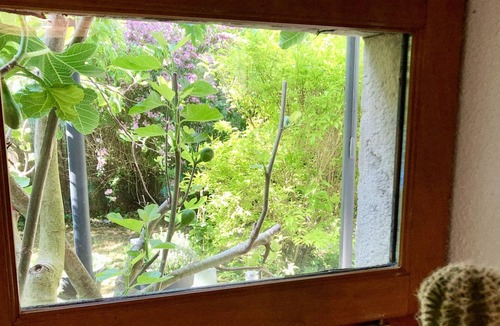 Courbouzon House | House