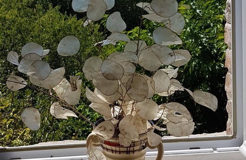 Monoblet House | House