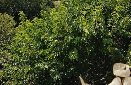 Monoblet House | House