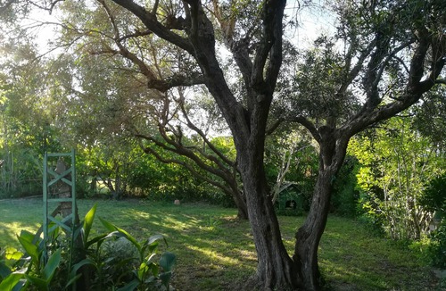 Port-Saint-Louis-du-Rhone Villa | House with garden