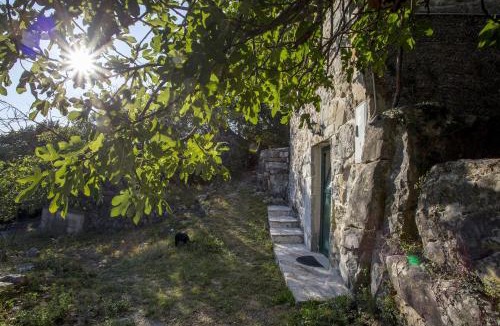Gata House | House Gordana