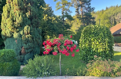 Entre-deux-Guiers House | House in the heart of the Chartreuse, ideal for nature lovers!