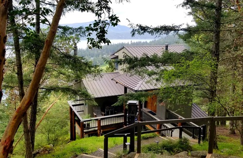 Rosario House | House in the Tree Tops