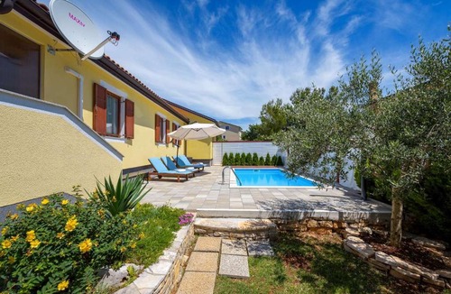 Murine House | House Katti