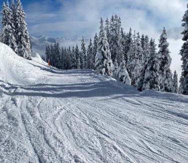 Laax Apartment | house & living junbi