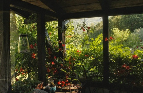 Omis House | House Murtila. Green dream in Cetina canyon