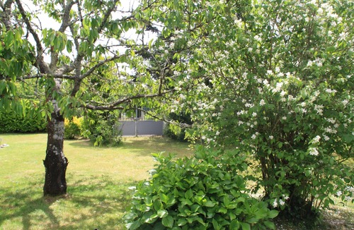 Sainte-Eulalie-en-Born House | house near ocean with large garden