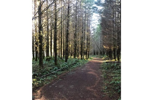 Leaburg House | House on the River. It doesn't get any better