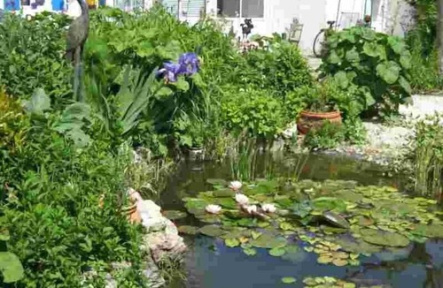 Port-des-Barques House | HOUSE PORT DES BARQUES