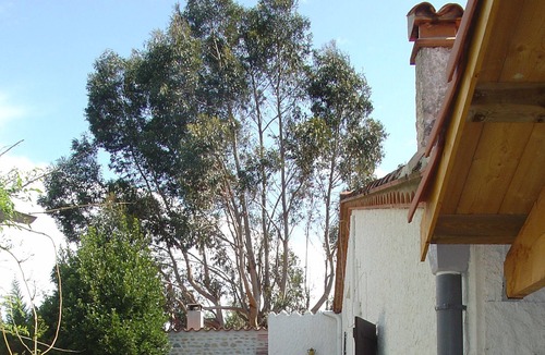 Saint-Jean-Pla-de-Corts House | House / Villa - Saint jean pla de corts
