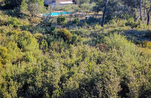 Saint-Bauzille-de-Montmel Villa | House view over cliff and olivette
