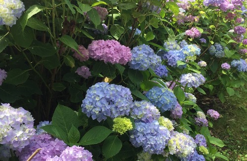 Foix House | house /villa - FOIX