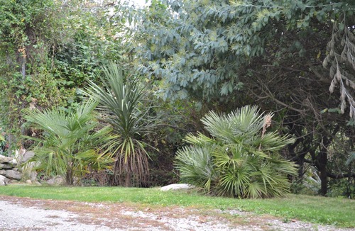 Ile-aux-Moines House | House/Villa - Ile aux moines