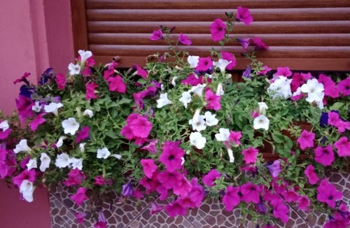 Itxassou House | House / Villa - Itxassou