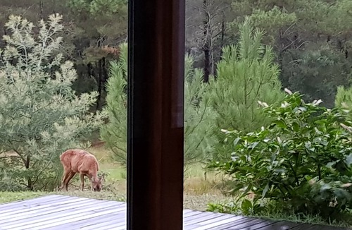 Moliets-et-Maa Villa | House/Villa - MOLIETS ET MAA