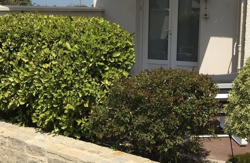 Saint-Ideuc House | house/villa - Saint Malo