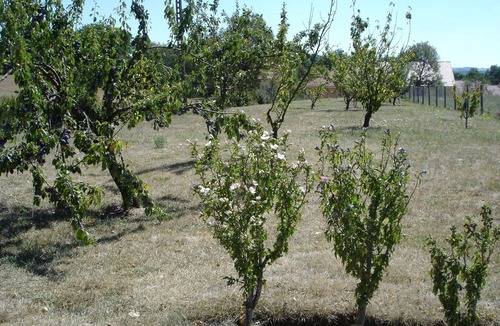 Villeneuve d'Aveyron House | House - Villeneuve d'Aveyron