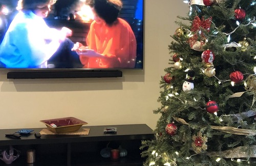 Somerton House | House with a backyard .