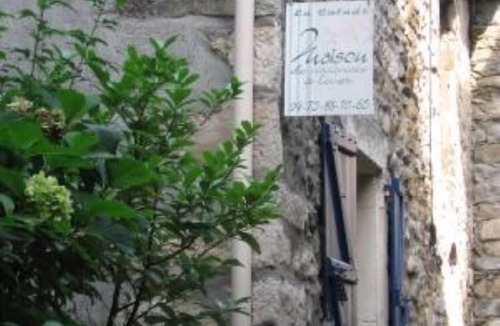 Vallon-Pont-d'Arc House | House with character