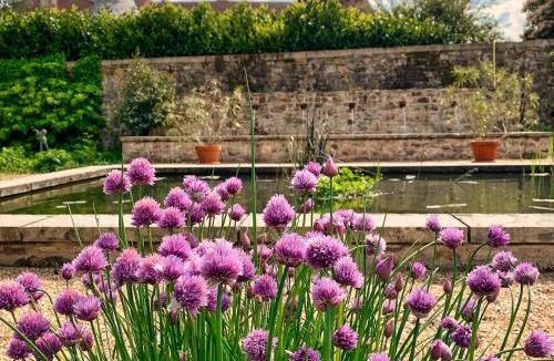 Saint-Pierre-de-Frugie House | House with a private hot tub and medieval garden