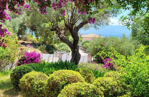 Ajaccio Villa | House with garden