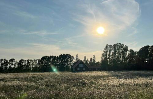 Maribo House | House With Great Sea View On Lilleø