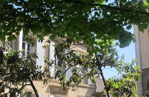 Historic Centre House | House with pool, Montpellier heart of town