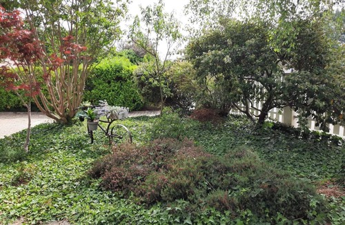 Villette-de-Vienne House | House with swimming pool