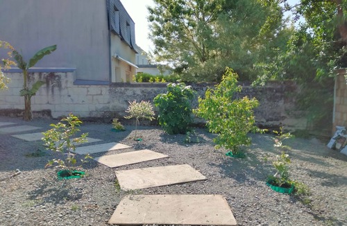 Saumur House | House with Tree-filled Garden