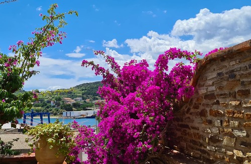 Port-Vendres House | House with view of the sea and vineyards; Near coastal path and town center