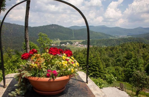 Brestova Draga House | House Zeleni brig (121821-K1) - Mrkopalj