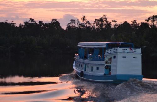Kumai Boat Rental | houseboat kelotok bee